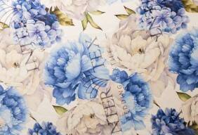 untitled (53 of 168)